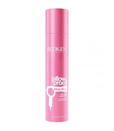 Redken Pillow Proof Blow Dry Two Day Extender Oil Absorbing Dry Shampoo 153ml