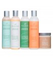Inahsi Naturals Deluxe Wash Day System Kit 226G