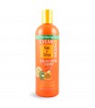 Creme Of Nature Kiwi & Citrus Ultra Moisturizing Shampoo 450ml